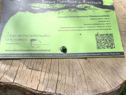 b_1024_768_0_00_images_2022_2023_1-3_Rzeszow_maj_346764875_786181836145153_7240411051554024358_n